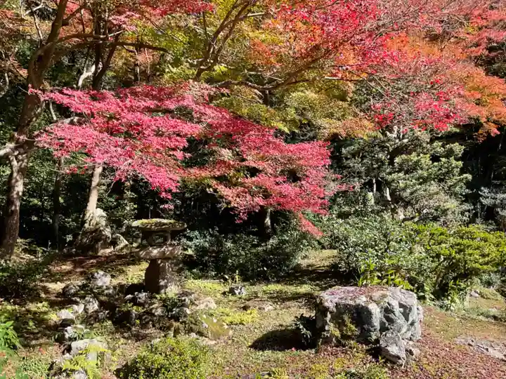 吸湖山 青岸寺の自然