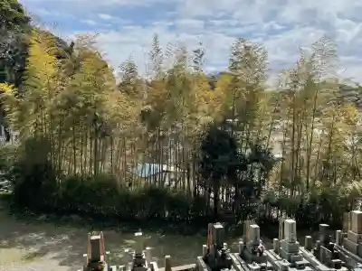 大寳寺の{uncategorized: "未分類", other: "その他", undefined: "問題あり", building: "その他建物", grave: "お墓", sacred_gate: "鳥居", guardian: "狛犬", statue: "像", buddha: "仏像", history: "歴史", nature: "自然", garden: "庭園", animal: "動物", pagoda: "塔", temizu: "手水舎", mountain_gate: "山門・神門", sanctuary: "本殿・本堂", subordinate: "末社・摂社", art: "芸術", scenery: "景色", jizo: "地蔵", ema: "絵馬", goshuin: "御朱印", omikuji: "おみくじ", items: "授与品その他", amulet: "お守り", goshuincho: "御朱印帳", eats: "食事", festival: "お祭り", votive_dance: "神楽", shichigosan: "七五三参", wedding: "結婚式", experience: "体験その他", initially: "初詣", around: "周辺", anti_infection: "感染症対策"}