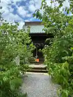 板倉雷電神社(群馬県)