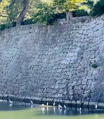 福井神社(福井県)