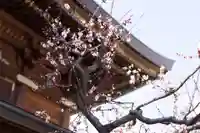 湯島天満宮(東京都)