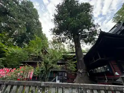 北口本宮冨士浅間神社(山梨県)