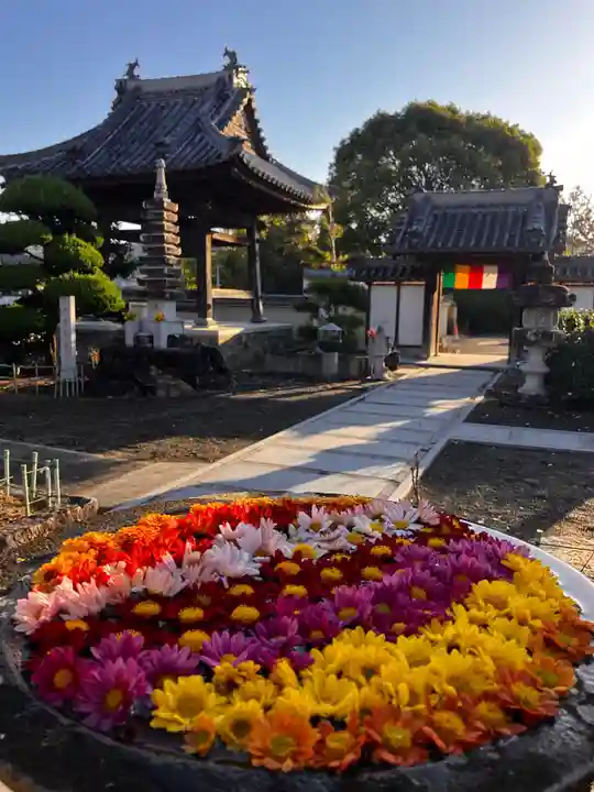 真言宗 善通寺派 薬王寺(香川県)