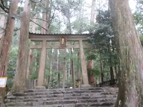 飛瀧神社（熊野那智大社別宮）の鳥居