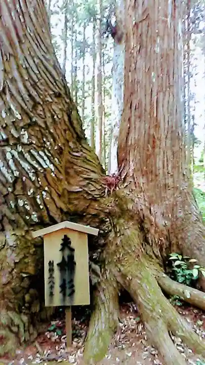 六所神社の自然