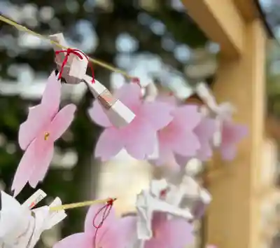 札幌諏訪神社のおみくじ