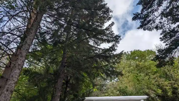 温根湯神社の自然