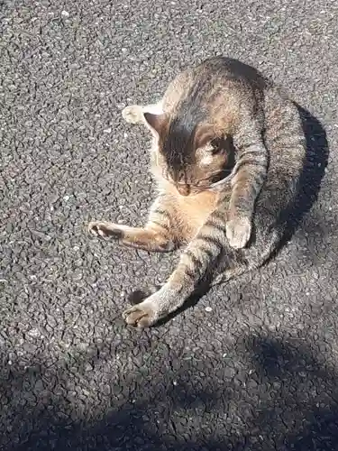 白金氷川神社(東京都)