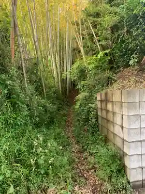 蔵王神社の周辺