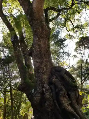 城願寺の自然