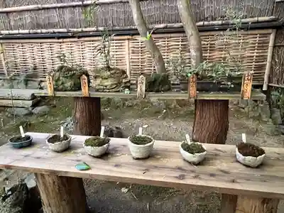 祇王寺(京都府)