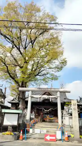 伊勢崎神社(群馬県)