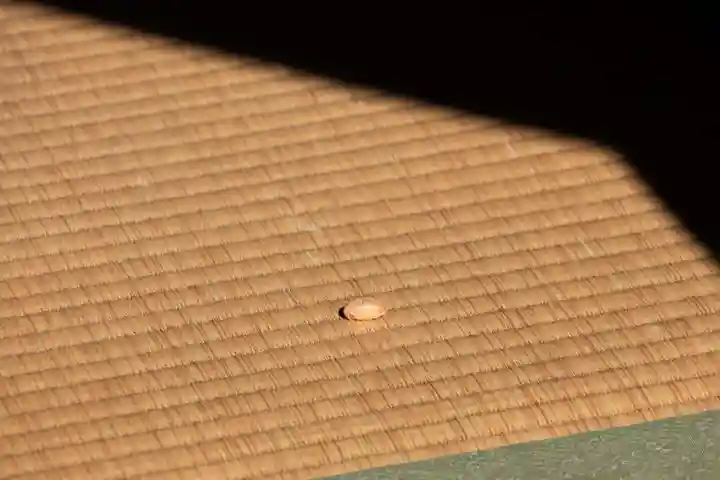 大六天麻王神社のお祭り