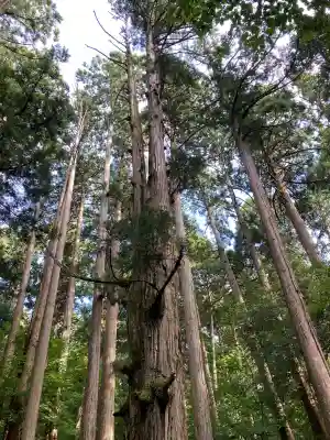 平泉寺白山神社(福井県)