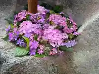 岡部春日神社~👹鬼門よけの🌺花咲く🌺やしろ~(福島県)