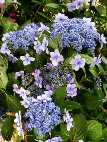 宝祥寺(東京都)