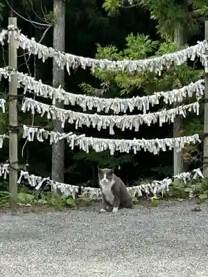 不二阿祖山太神宮(山梨県)