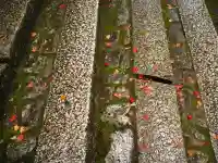 永源寺の{uncategorized: "未分類", other: "その他", undefined: "問題あり", building: "その他建物", grave: "お墓", sacred_gate: "鳥居", guardian: "狛犬", statue: "像", buddha: "仏像", history: "歴史", nature: "自然", garden: "庭園", animal: "動物", pagoda: "塔", temizu: "手水舎", mountain_gate: "山門・神門", sanctuary: "本殿・本堂", subordinate: "末社・摂社", art: "芸術", scenery: "景色", jizo: "地蔵", ema: "絵馬", goshuin: "御朱印", omikuji: "おみくじ", items: "授与品その他", amulet: "お守り", goshuincho: "御朱印帳", eats: "食事", festival: "お祭り", votive_dance: "神楽", shichigosan: "七五三参", wedding: "結婚式", experience: "体験その他", initially: "初詣", around: "周辺", anti_infection: "感染症対策"}