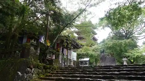 竹林寺の景色