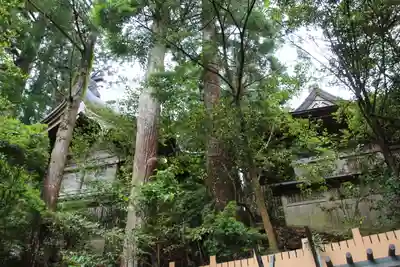 天河大辨財天社のその他建物