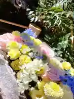 本郷氷川神社(東京都)