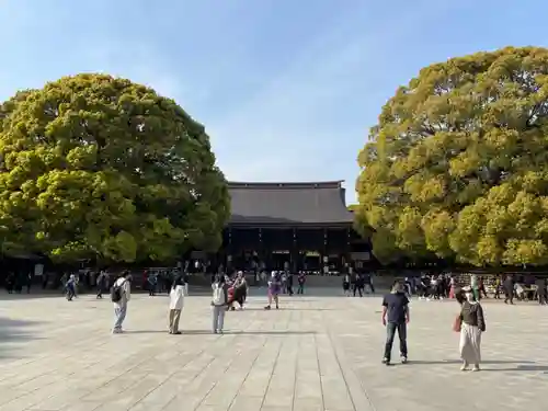 明治神宮(東京都)