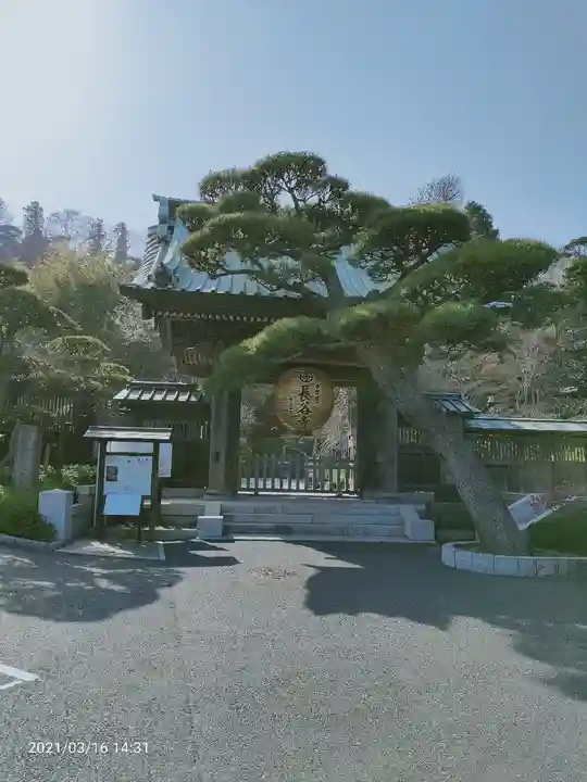 長谷寺の山門・神門