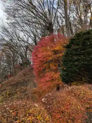 東円寺(山梨県)