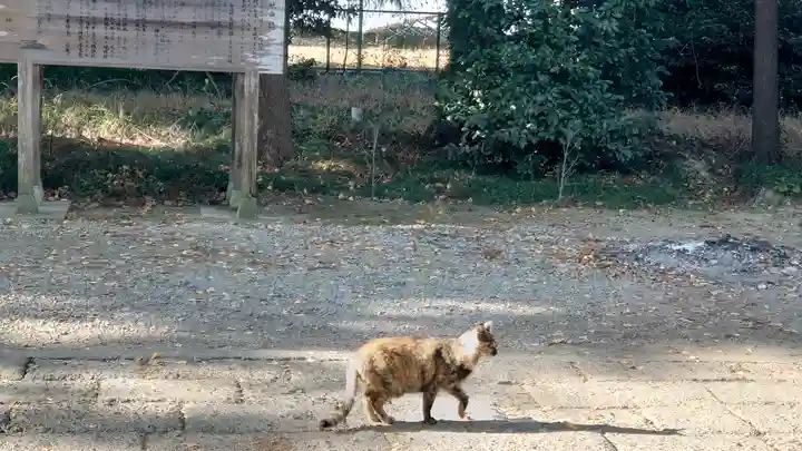 網戸神社の動物