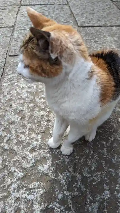 戸越八幡神社(東京都)