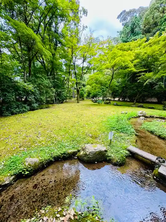 賀茂別雷神社(上賀茂神社)(京都府)