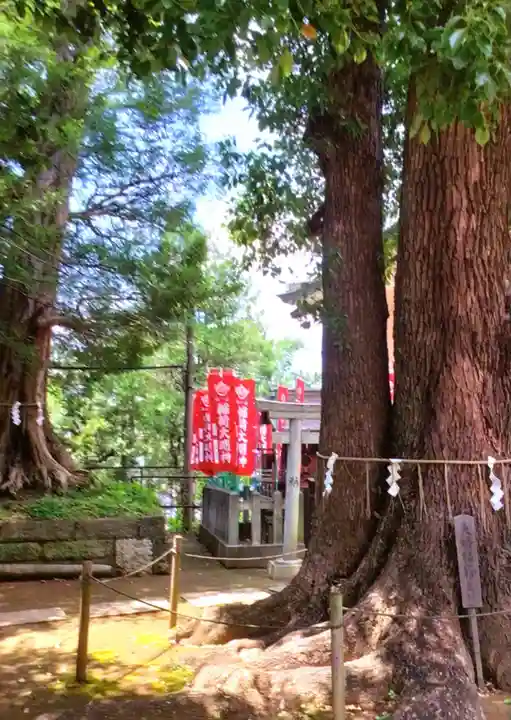 諏訪神社(東京都)