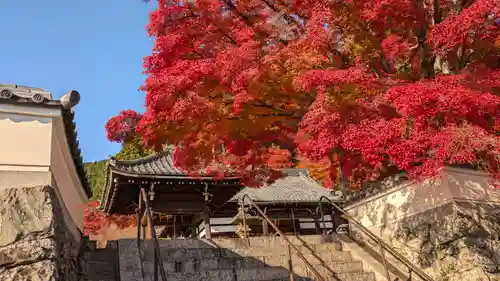 善峯寺(京都府)