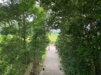 熊野神社のその他建物