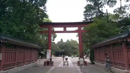 武蔵一宮氷川神社の鳥居