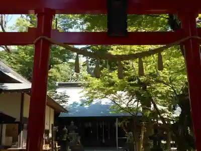 蠶養國神社(福島県)