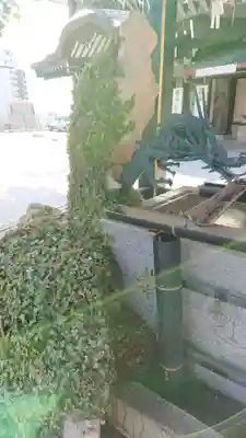 水戸東照宮の手水舎