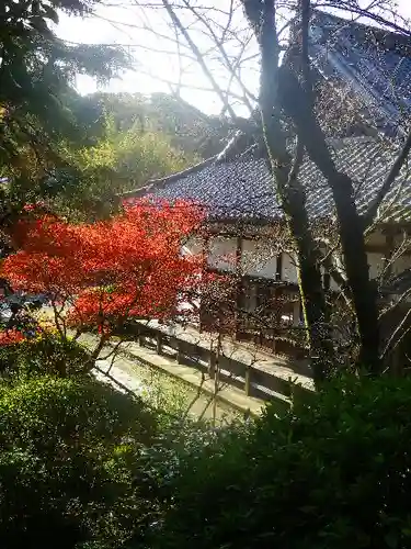 浄光明寺の自然