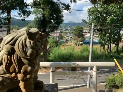 熊野神社の狛犬