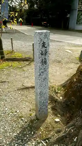 真清田神社の自然