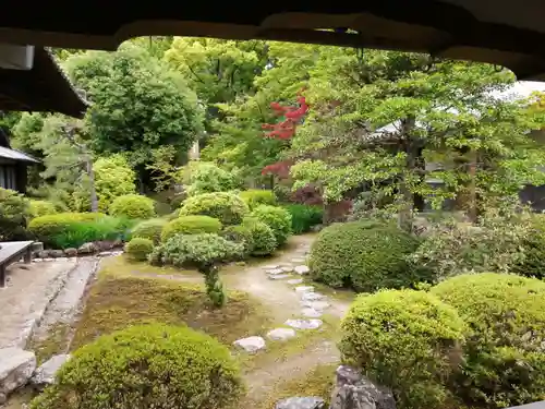 隨心院（随心院）の庭園