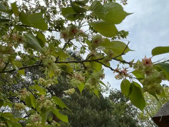 歌泉堂(春日大社神苑萬葉植物園内鎮座)(奈良県)