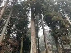 大宮温泉神社(栃木県)(2024年03月12日(火) 16時35分55秒投稿)