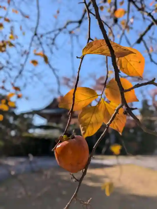 福蔵院(東京都)