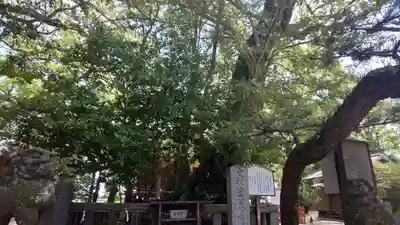 御勢大霊石神社 の自然