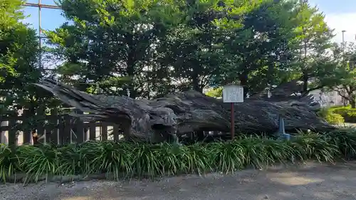 瀬戸神社のその他建物