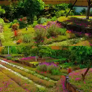 寿量山 速成寺(奈良県)(2021年05月05日(水) 09時59分29秒投稿)