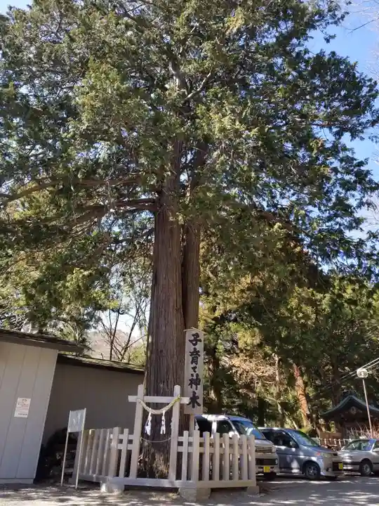 新倉富士浅間神社(山梨県)