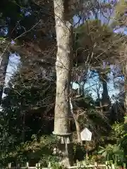 高蔵寺(東京都)