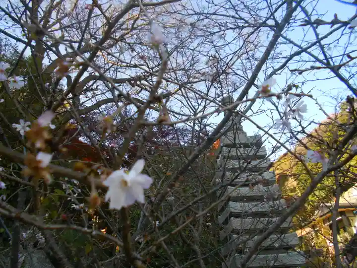 久成寺のその他建物